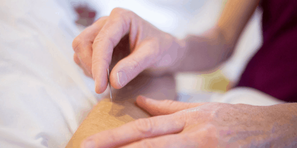 physical therapy company